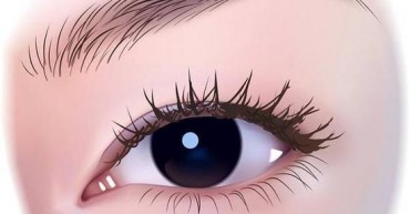 0aXO-hfkffam2786101-1