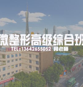 微整形高级综合班
