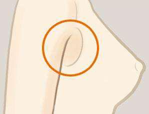 F8699A5323D84AB5BC8491E151B752E3AB7C0670_size5_w298_h228